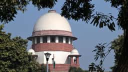 Supreme Court Grills Bengal Government Over ED Raids Obstruction by Banerjee